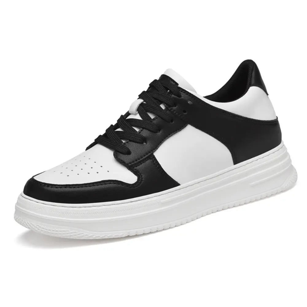 Dexter™ | +8CM Rialzo