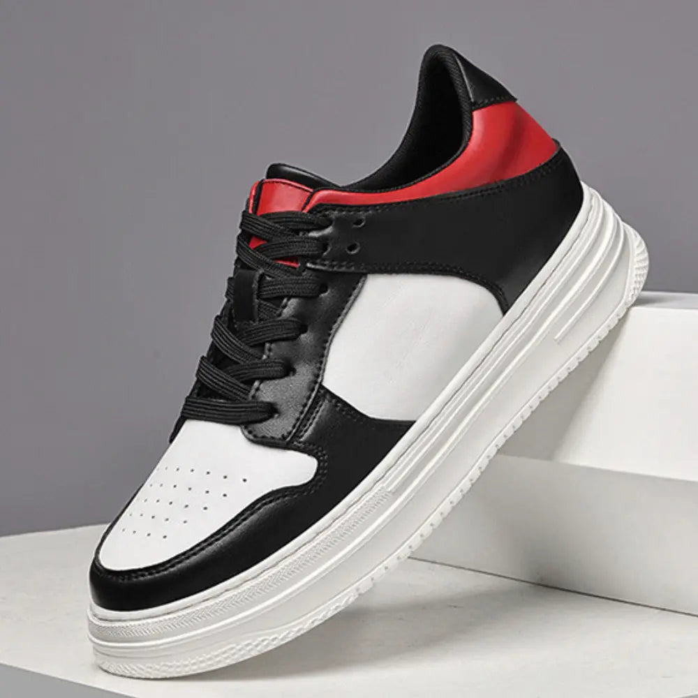 Dexter™ | +8CM Rialzo