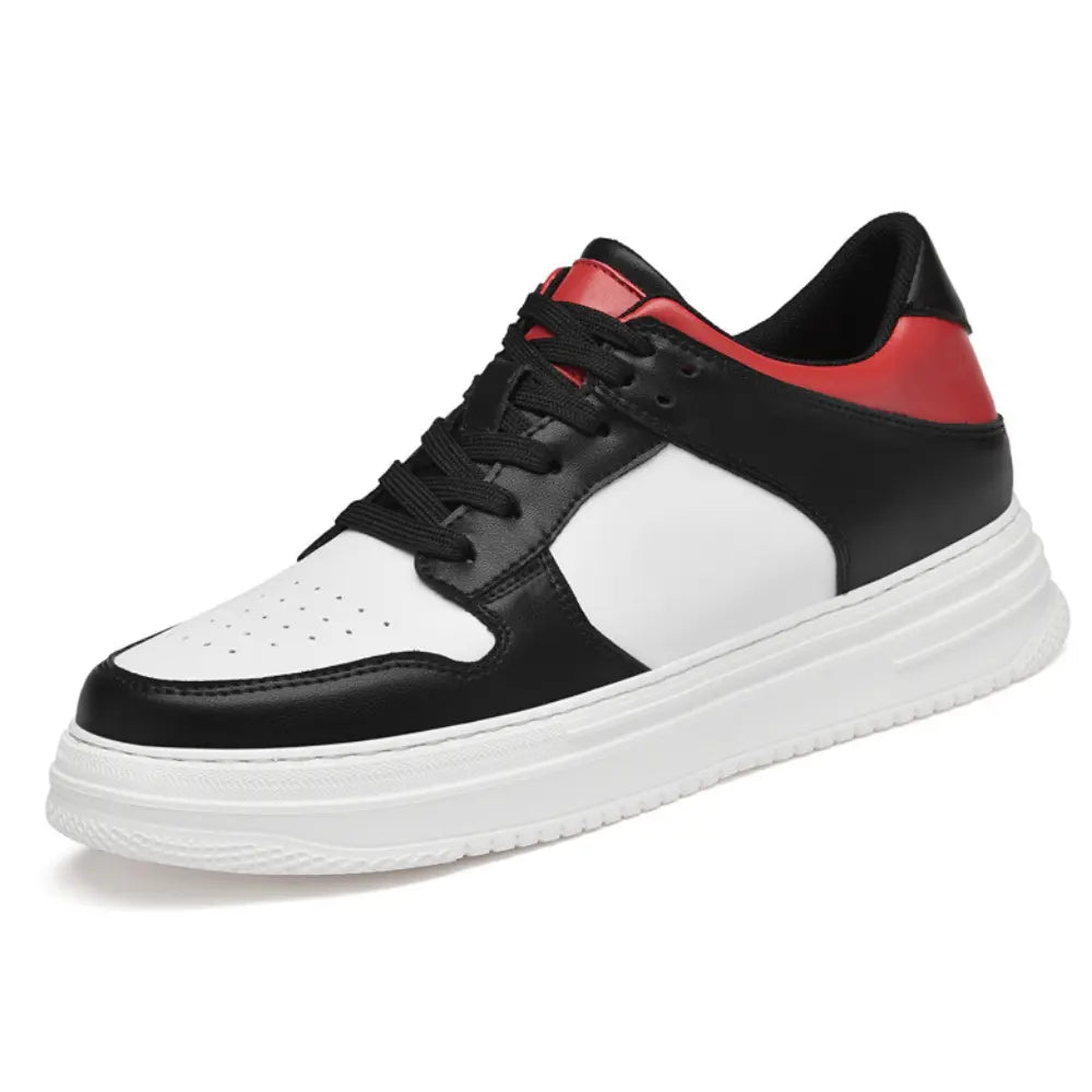 Dexter™ | +8CM Rialzo